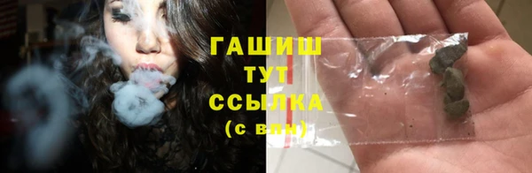 индика Абинск