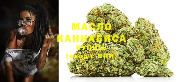 индика Абинск