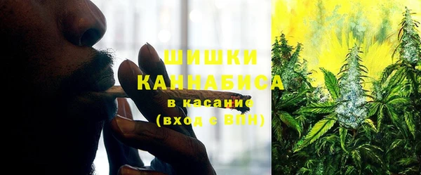 индика Абинск