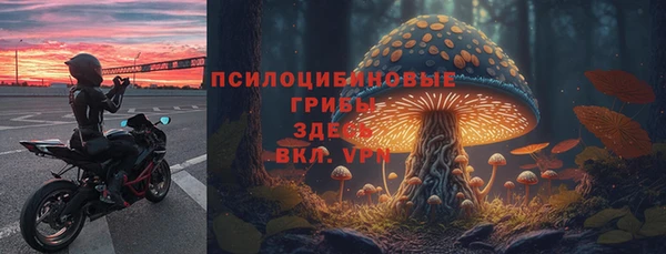 индика Абинск